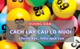 Hướng dẫn cách lấy cầu lô chuẩn xác, hiệu quả