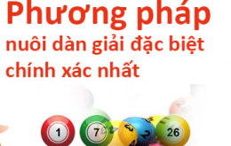 Phương pháp nuôi lô dàn hiệu quả